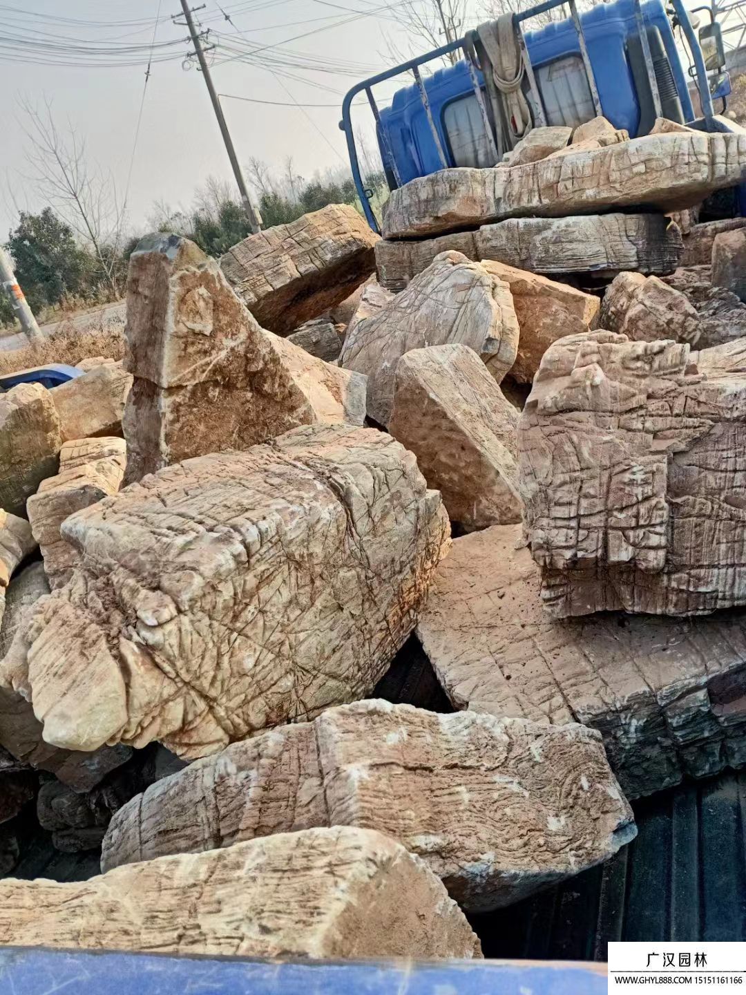 龟纹石产地批发